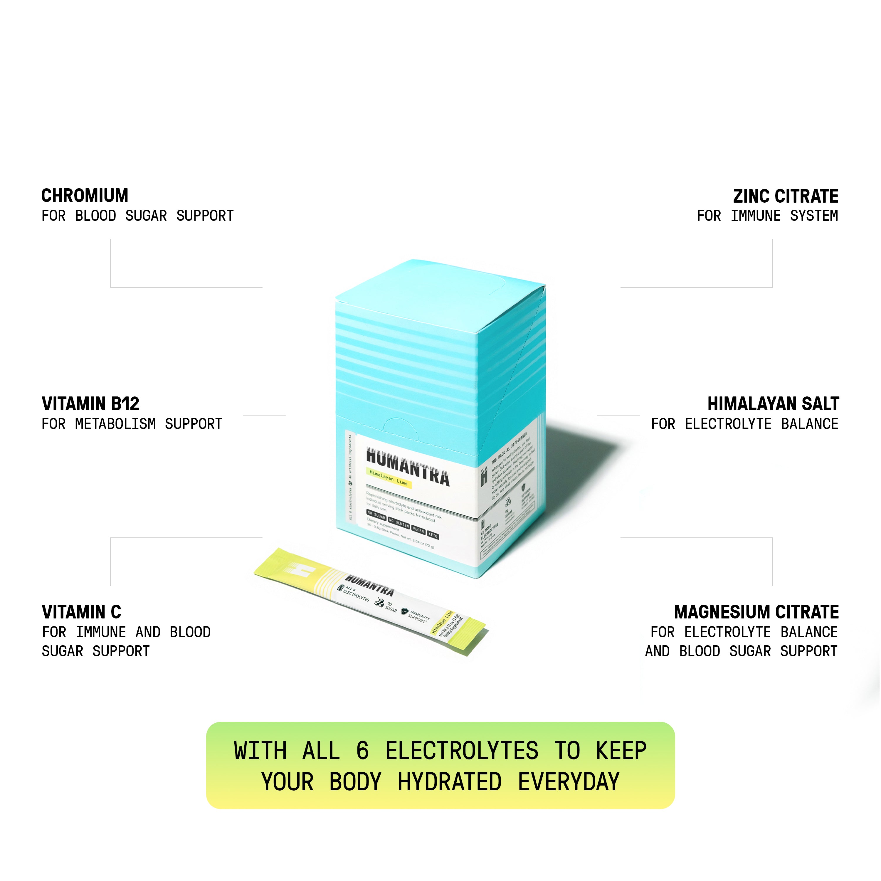 Essentials Bundle (Elderberry and Lime)