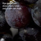Carbon Grape
