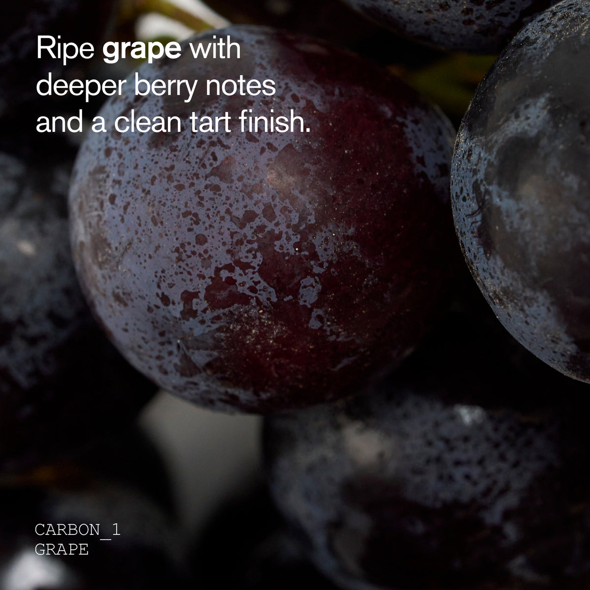 Carbon Grape